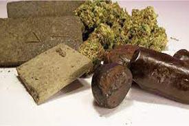 AloCBD la passion du CBD AloCBD la passion du CBD